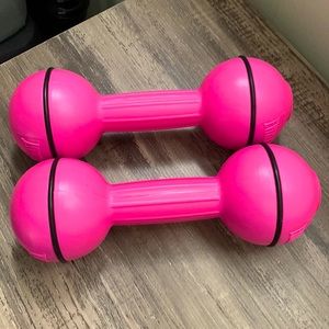 Everlast 2.5lb weights